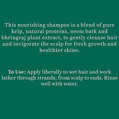 Biotique Ocean Kelp Anti-Hair Fall Shampoo for Intensive Hair Growth Therapy 180ml