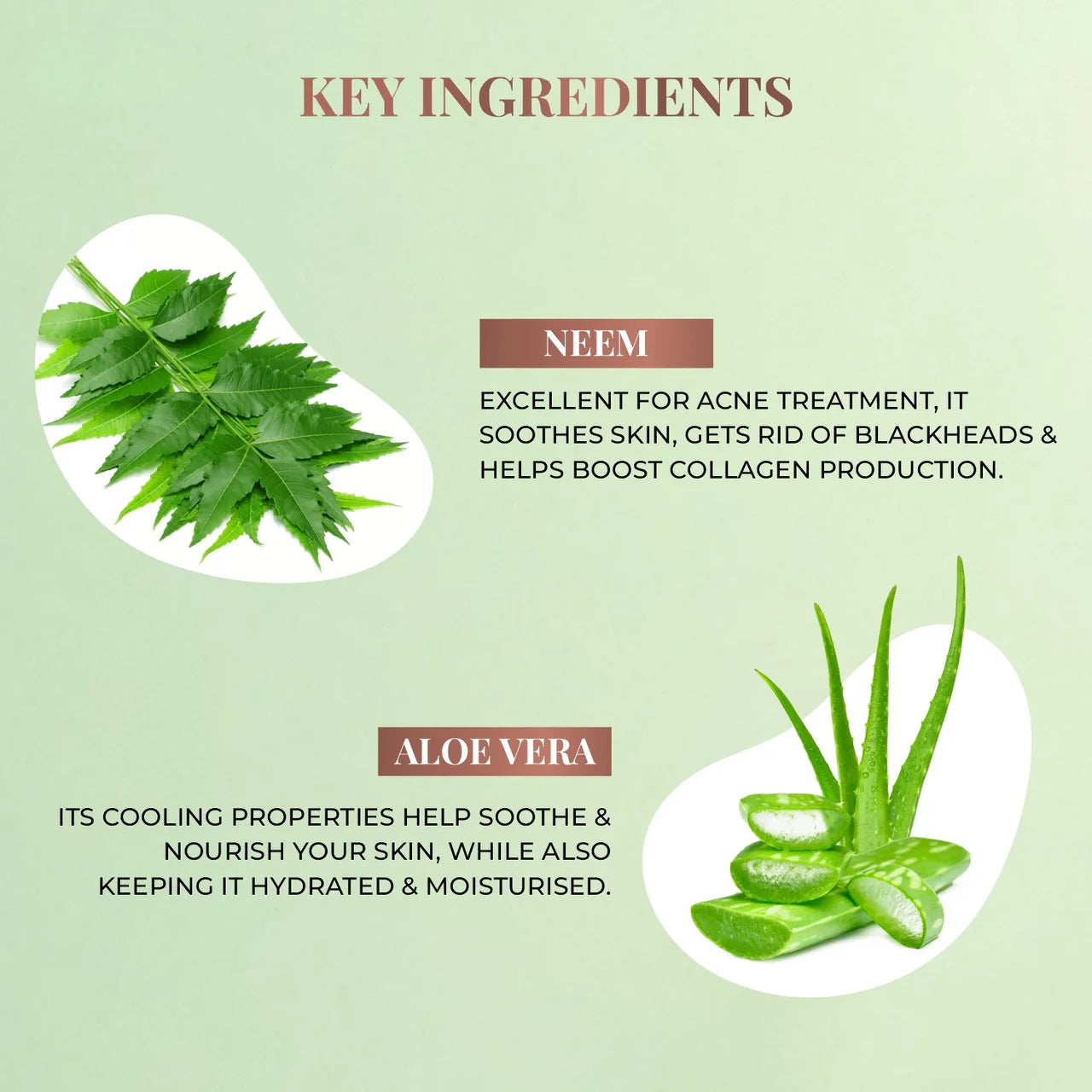 Just Herbs - Neem + Aloe Vera Clear Skin Face Wash 100g