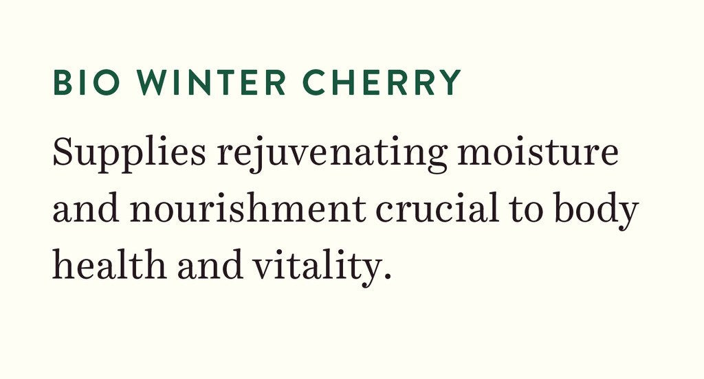 Biotique Bio Winter Cherry Rejuvenating Body Nourisher 190ml