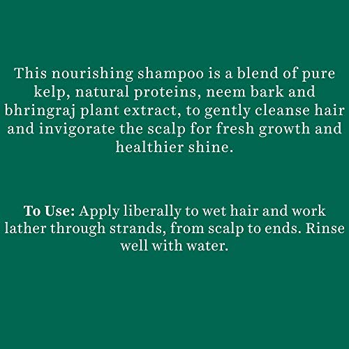 Biotique Ocean Kelp Anti-Hair Fall Shampoo for Intensive Hair Growth Therapy 650 ml