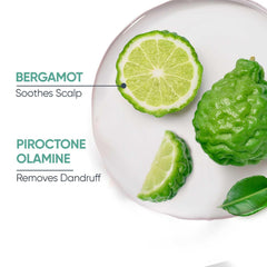 Biolage Scalppure Conditioner with Anti Dandruff properties 98g