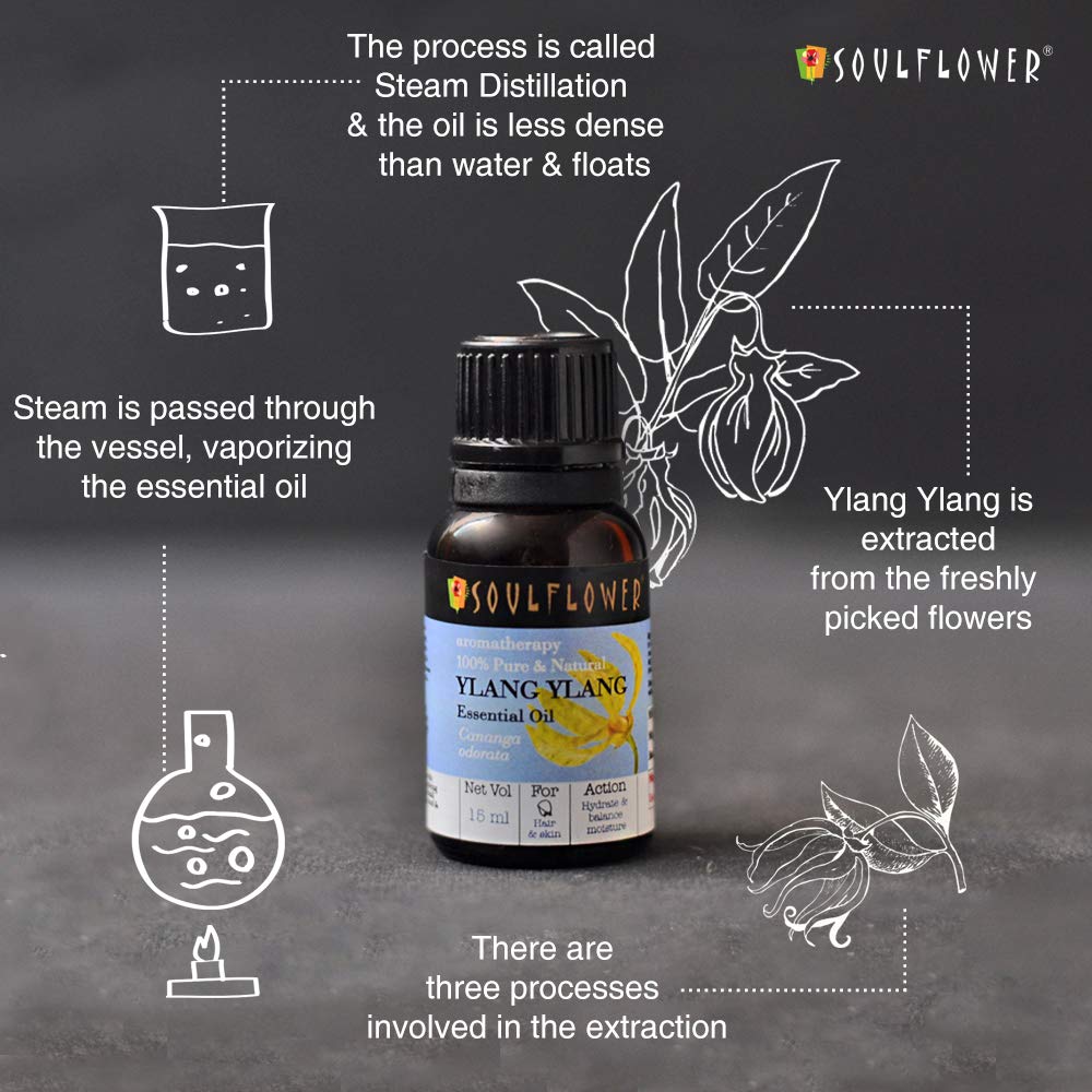SoulFlower - Ylang Ylang Essential Oil for Thick Hair 15ml