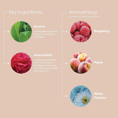 Pureology Strength Cure Conditioner For Damaged, Color-Treated Hair 50ml