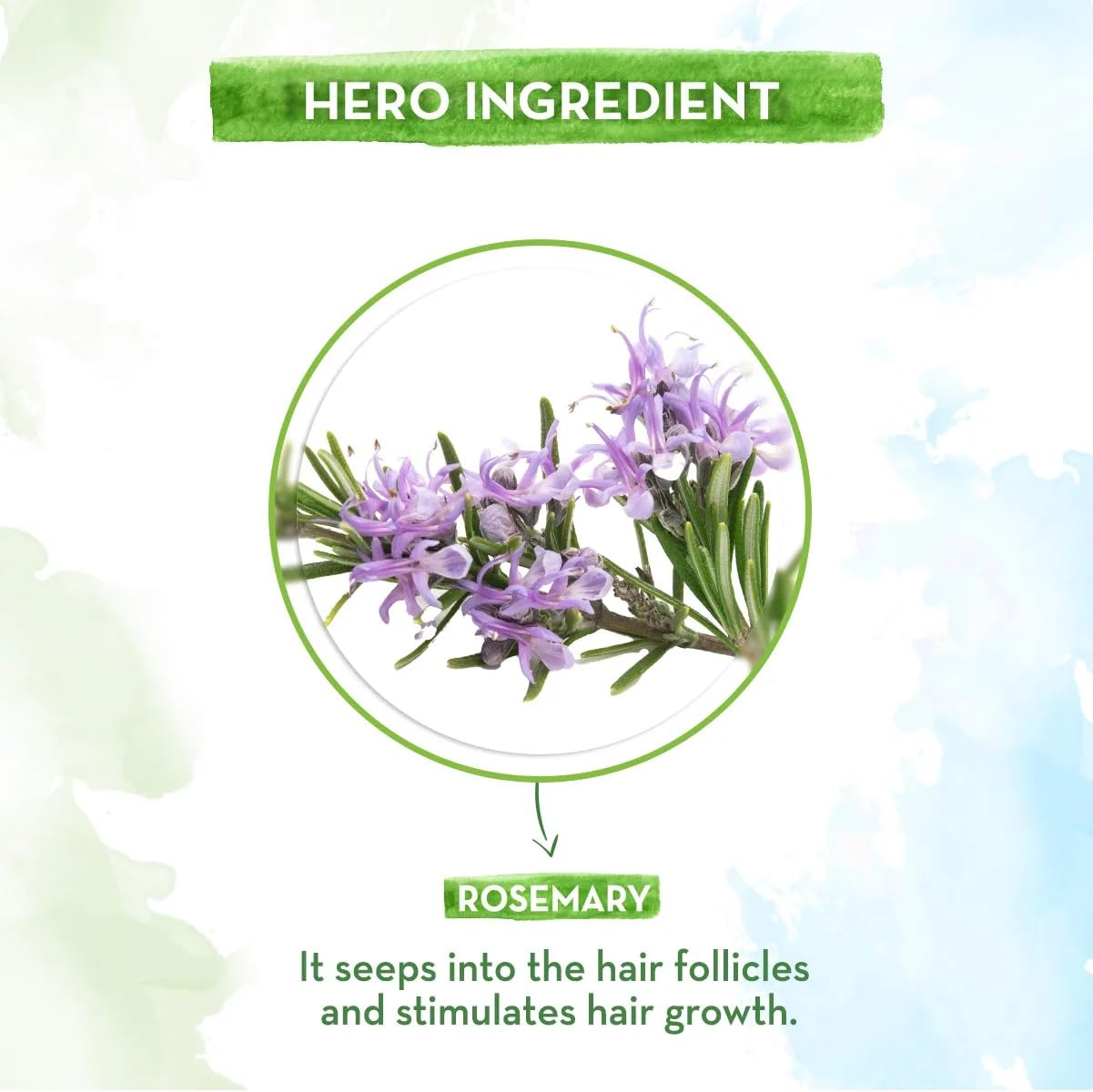 Mamaearth - Rosemary Essential Oil for Hair Growth 15ml