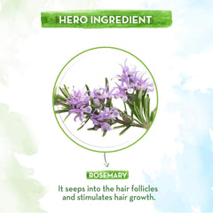 Mamaearth - Rosemary Essential Oil for Hair Growth 15ml