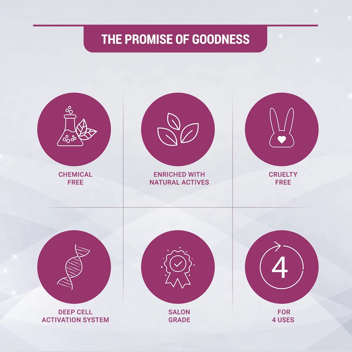 Goodness promise icons: chemical free, enriched naturals, cruelty free, 4 uses