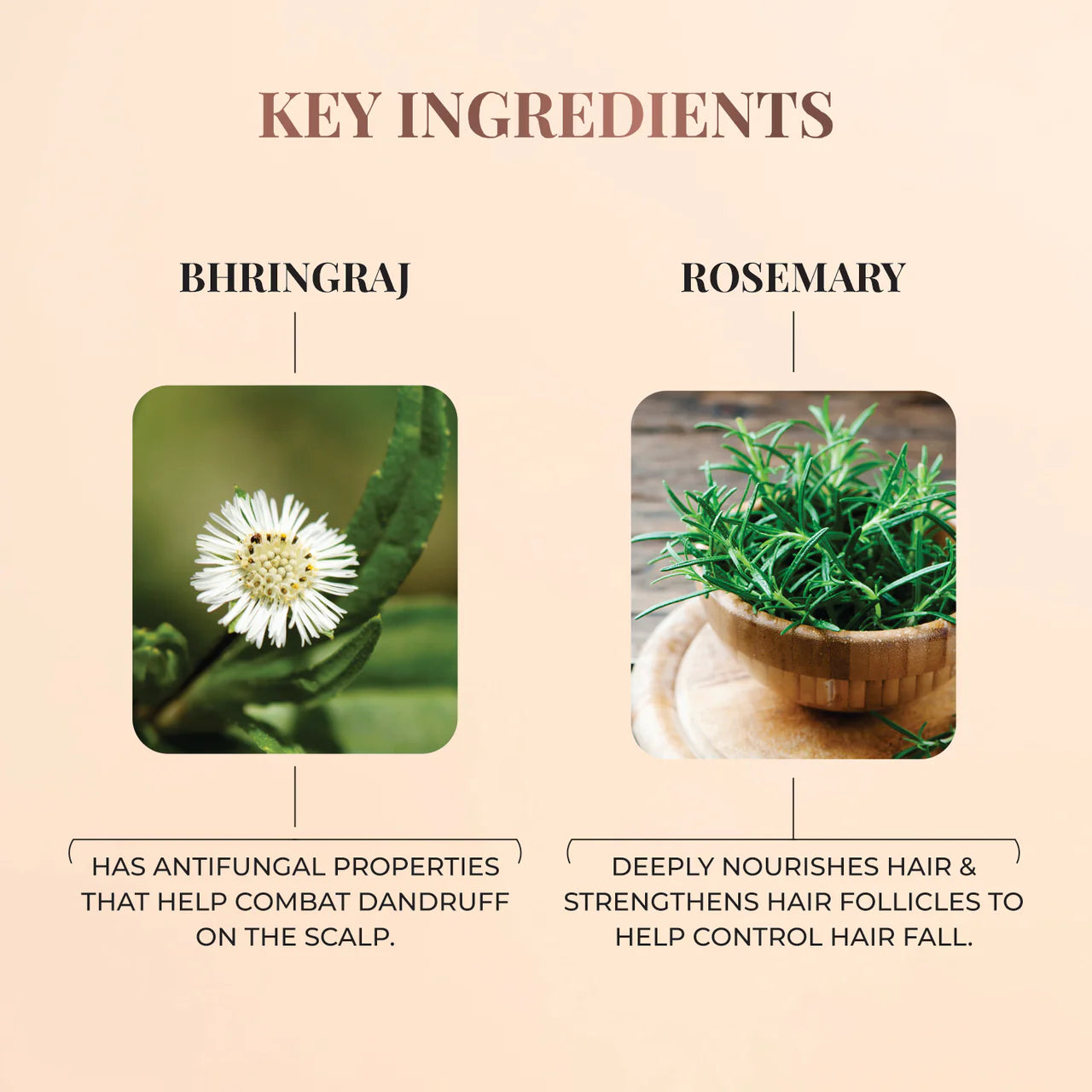 Just Herbs - BHRINGRAJ + ROSEMARY NOURISHING HAIR CREAM 100g