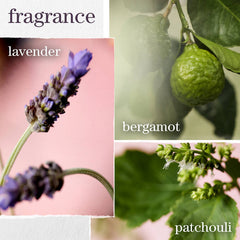 Pureology Hydrate Glow Catcher Oil For Dry, Color, Treated Hair 50ml