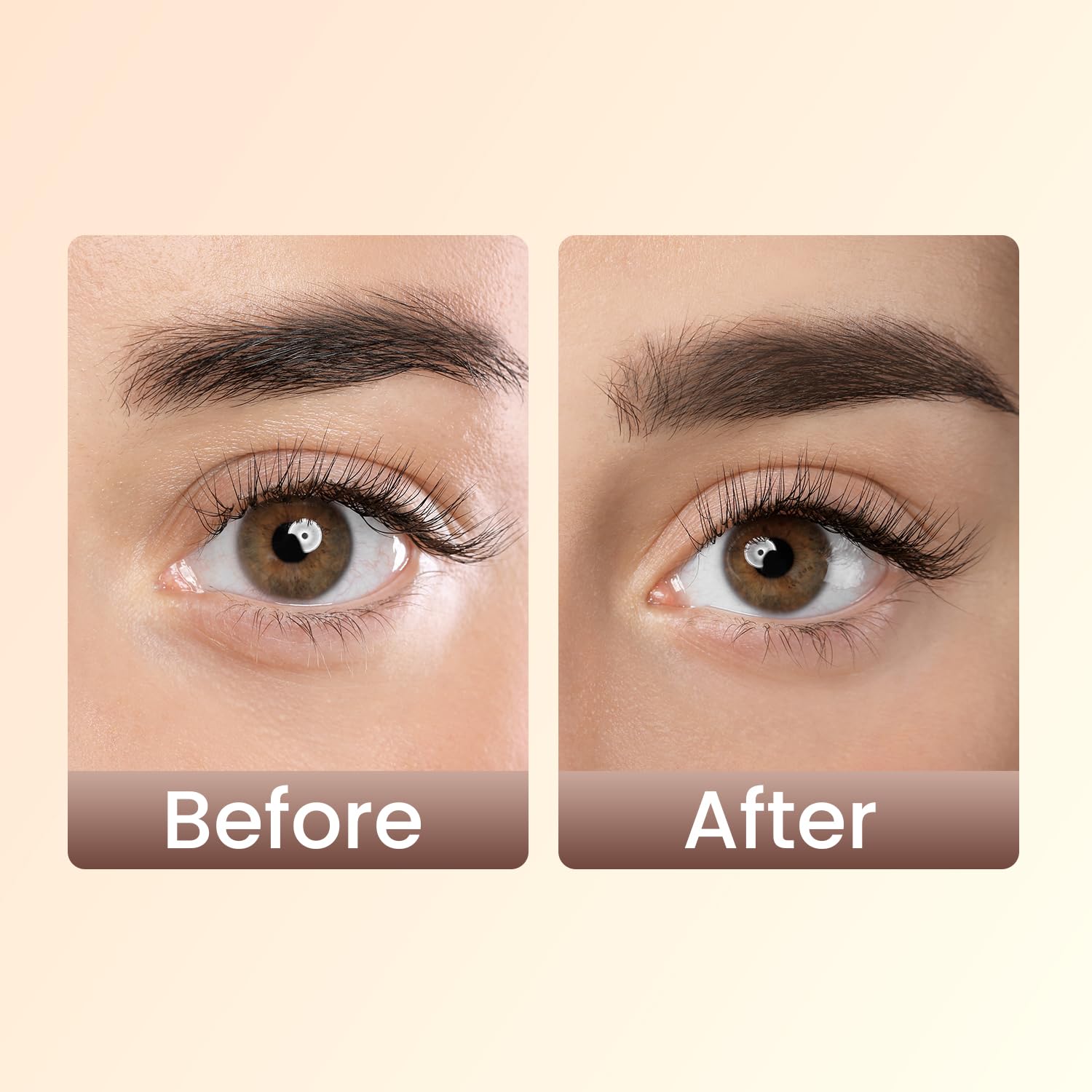 Swiss Beauty - Brow Definer Pencil Black Shade No. 4