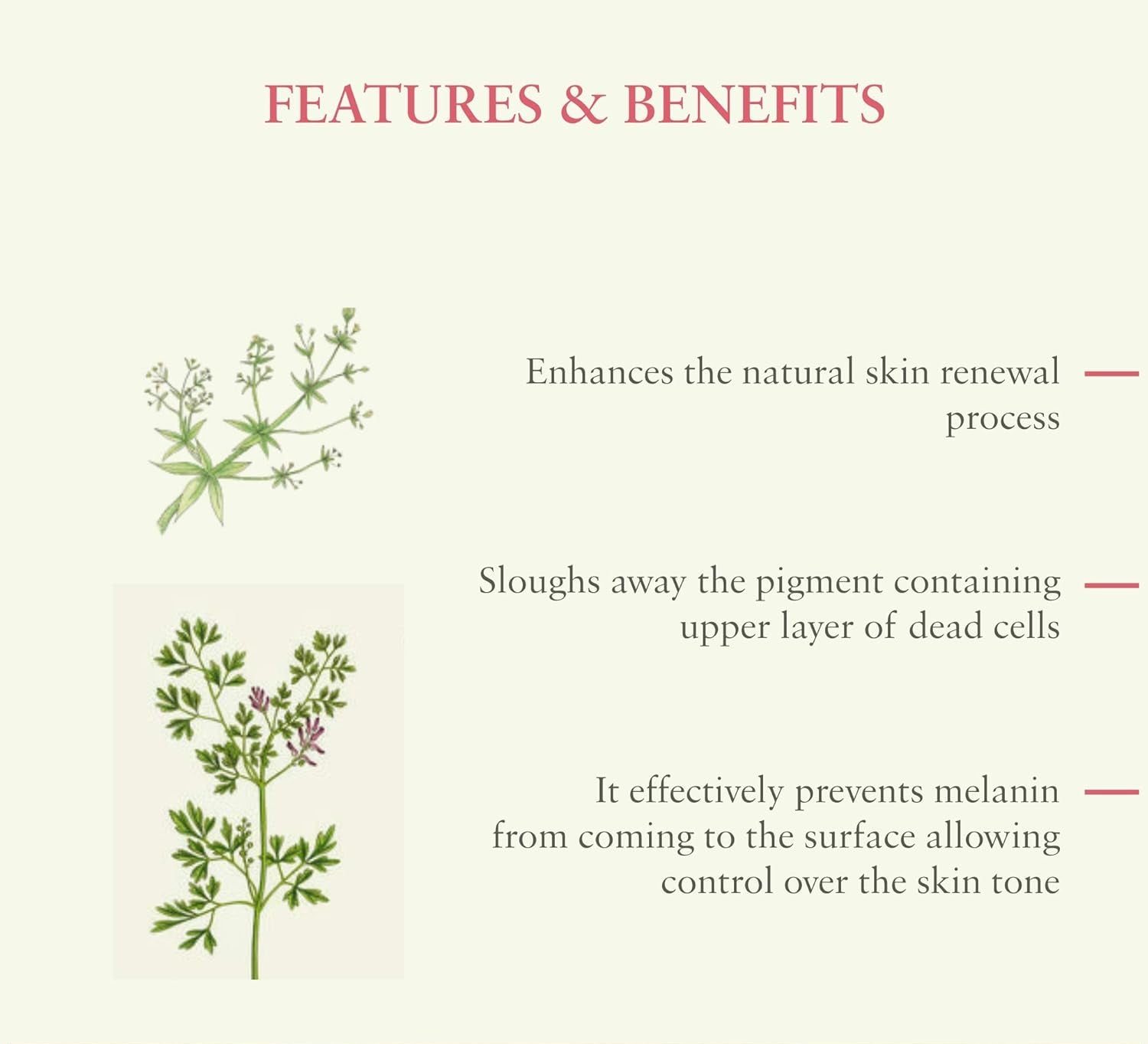 Anti-blemish gel features & benefits graphic with botanical illustrations