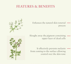 Anti-blemish gel features & benefits graphic with botanical illustrations