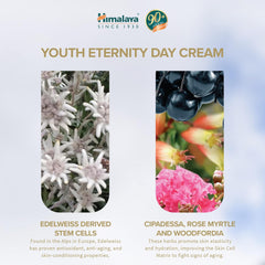 Himalaya - Youth Eternity Day Cream  SPF15 50ml