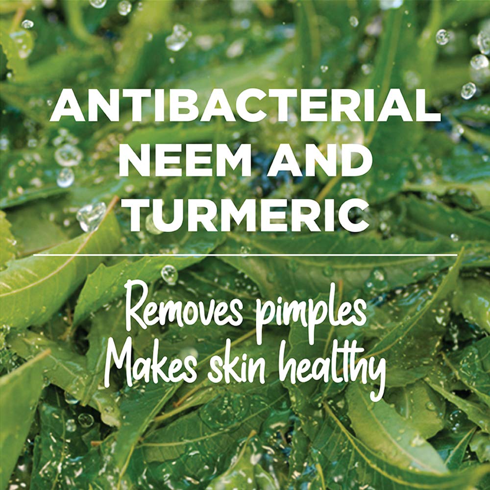 Himalaya - Purifying Neem Facewash 400ml