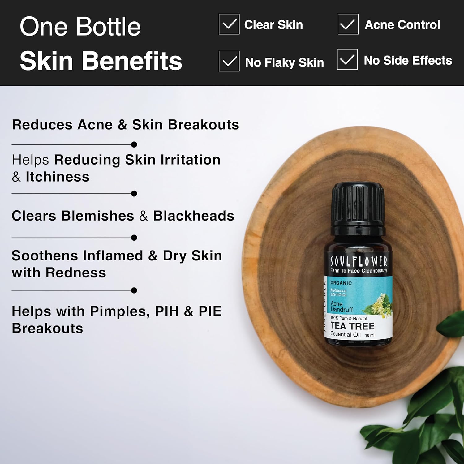 Soulflower - Organic Tea Tree Essential Oil for Skin, Hair, Face, Acne Care, Dandruff | 22 Years of Trust Worldwide, Ecocert Certified Organic 100% Pure, Natural, Undiluted Therapeutic 10ml