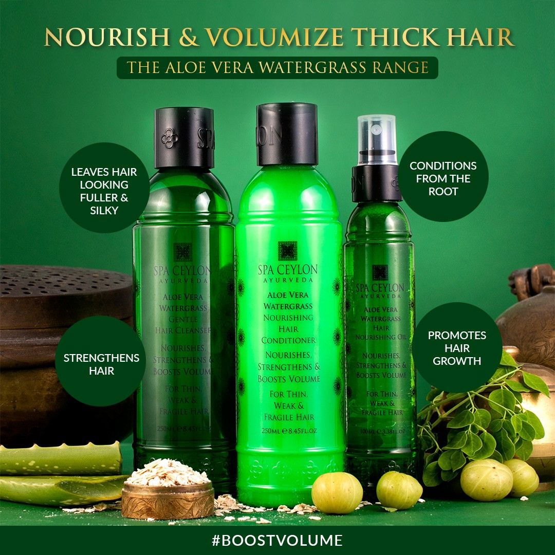 Aloe Vera Watergrass - Gentle Hair Cleanser -250ml - (Nourish & Volumize Thin Hair) - Kess Hair and Beauty