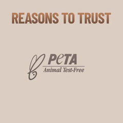 Swiss Beauty - Foundation Brush