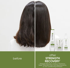 Biolage Strength Recovery Shampoo for Damaged Hair 400ml - Kess Hair and Beauty