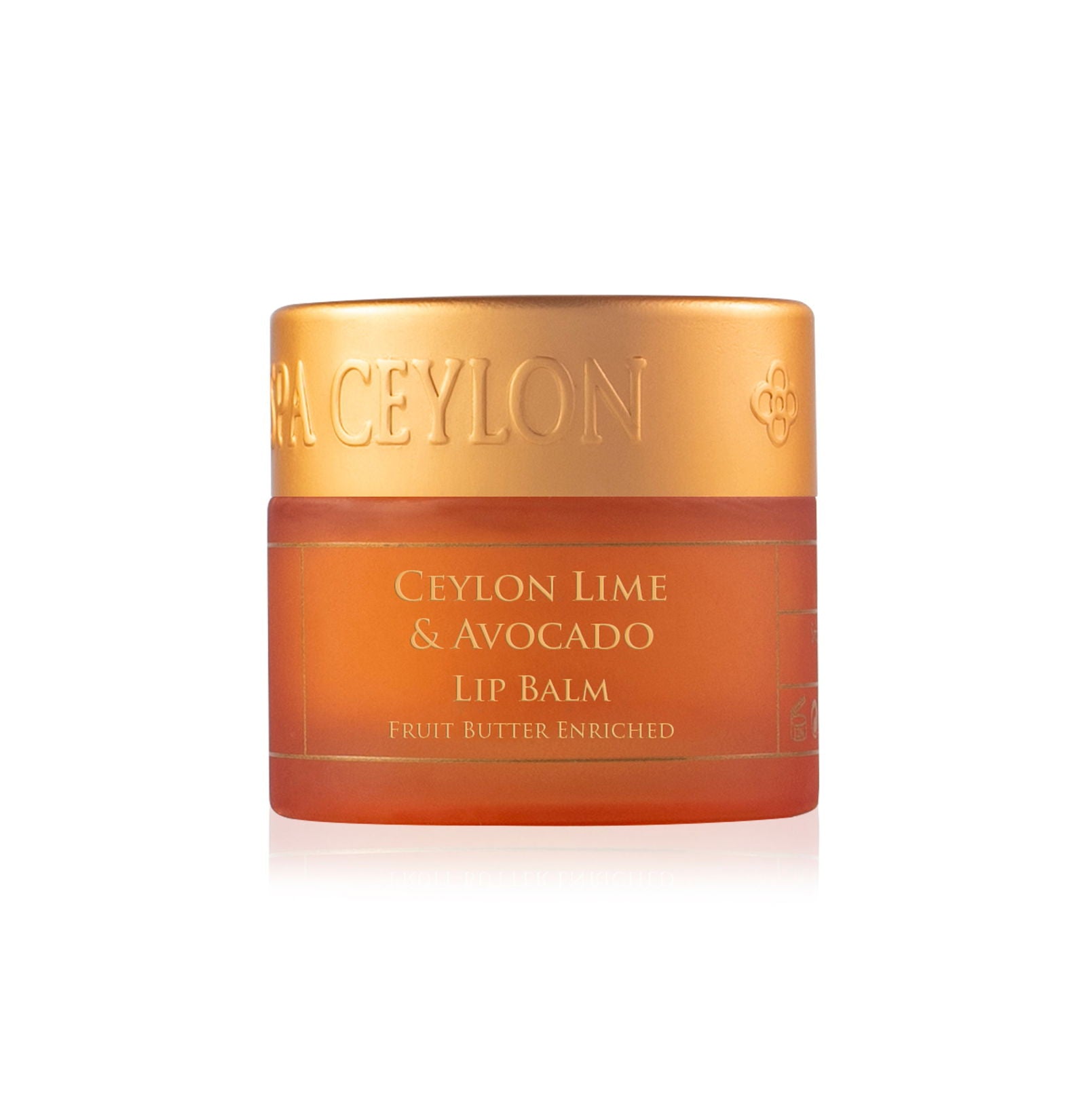 CEYLON LIME & AVOCADO - Lip Balm -10g - Kess Hair and Beauty