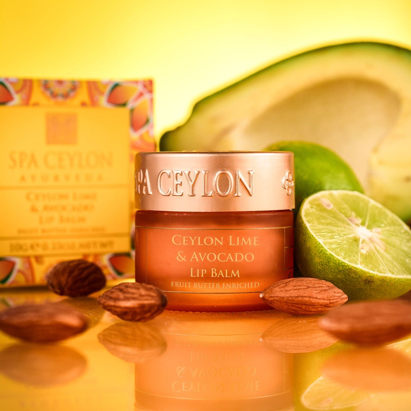 CEYLON LIME & AVOCADO - Lip Balm -10g - Kess Hair and Beauty