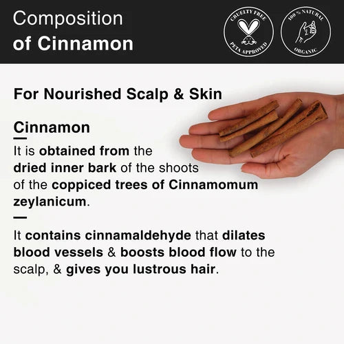 SoulFlower - Cinnamon Essential Oil | Musky & Earthy 15ml