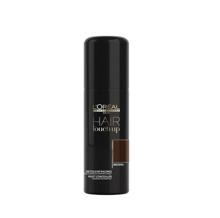 Loreal Hair Touch Up Brown