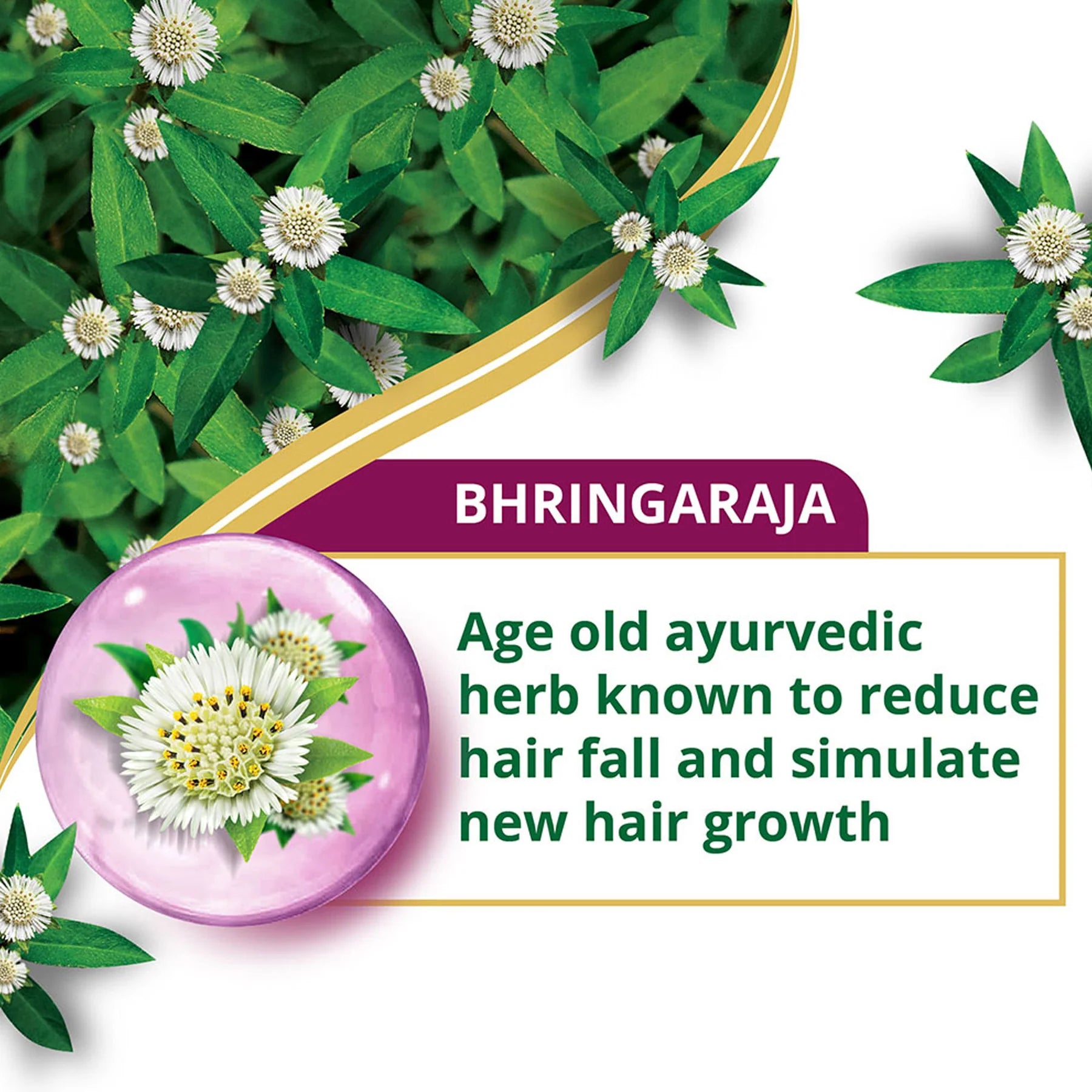 Himalaya - Anti-Hair Fall Bhringaraja Conditioner 80ml