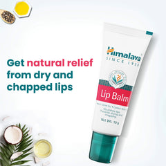 Himalaya - Lip Balm 10g