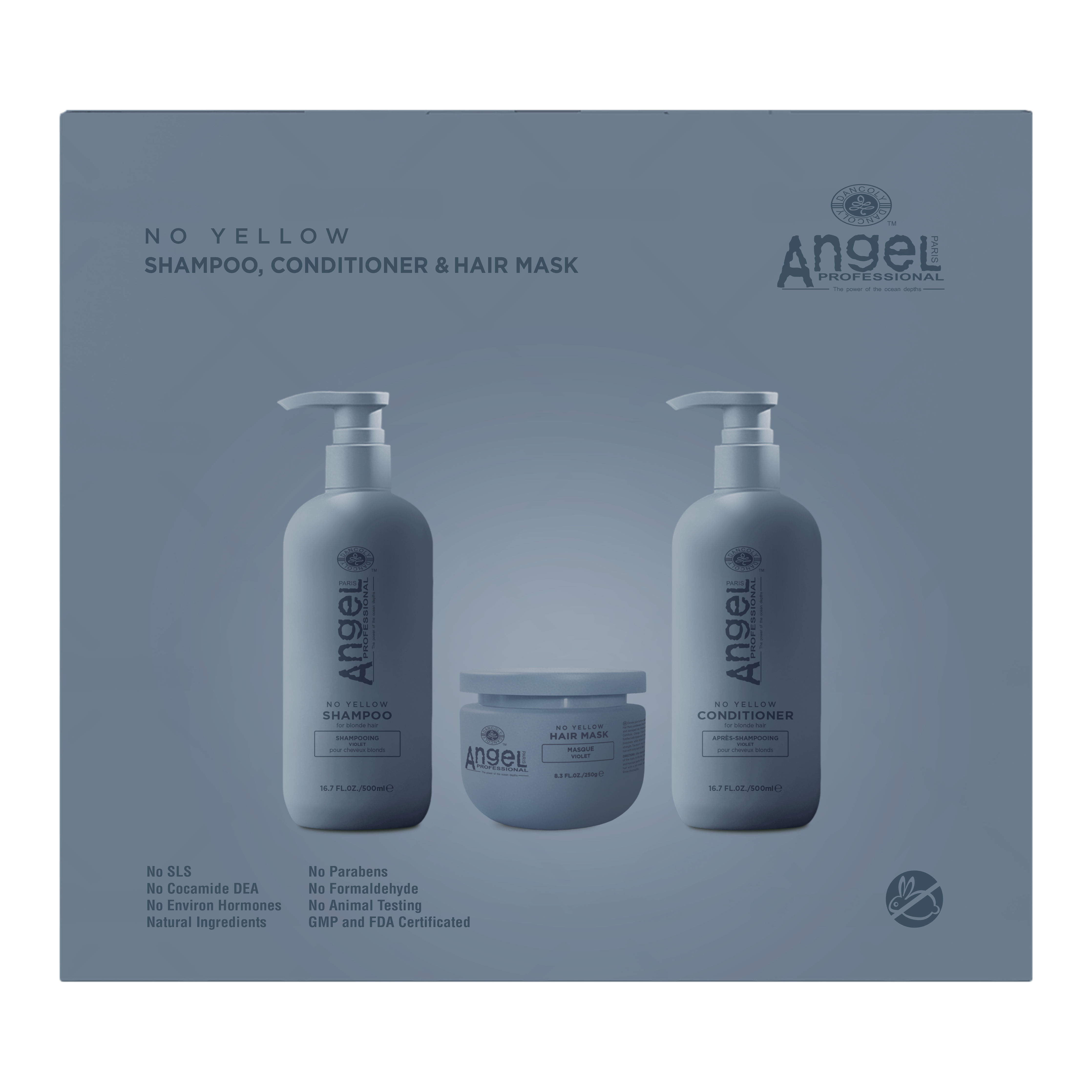 Angel Professional Deep Sea No Yellow Shampoo, Conditioner & Mask Holiday Gift Set 2026