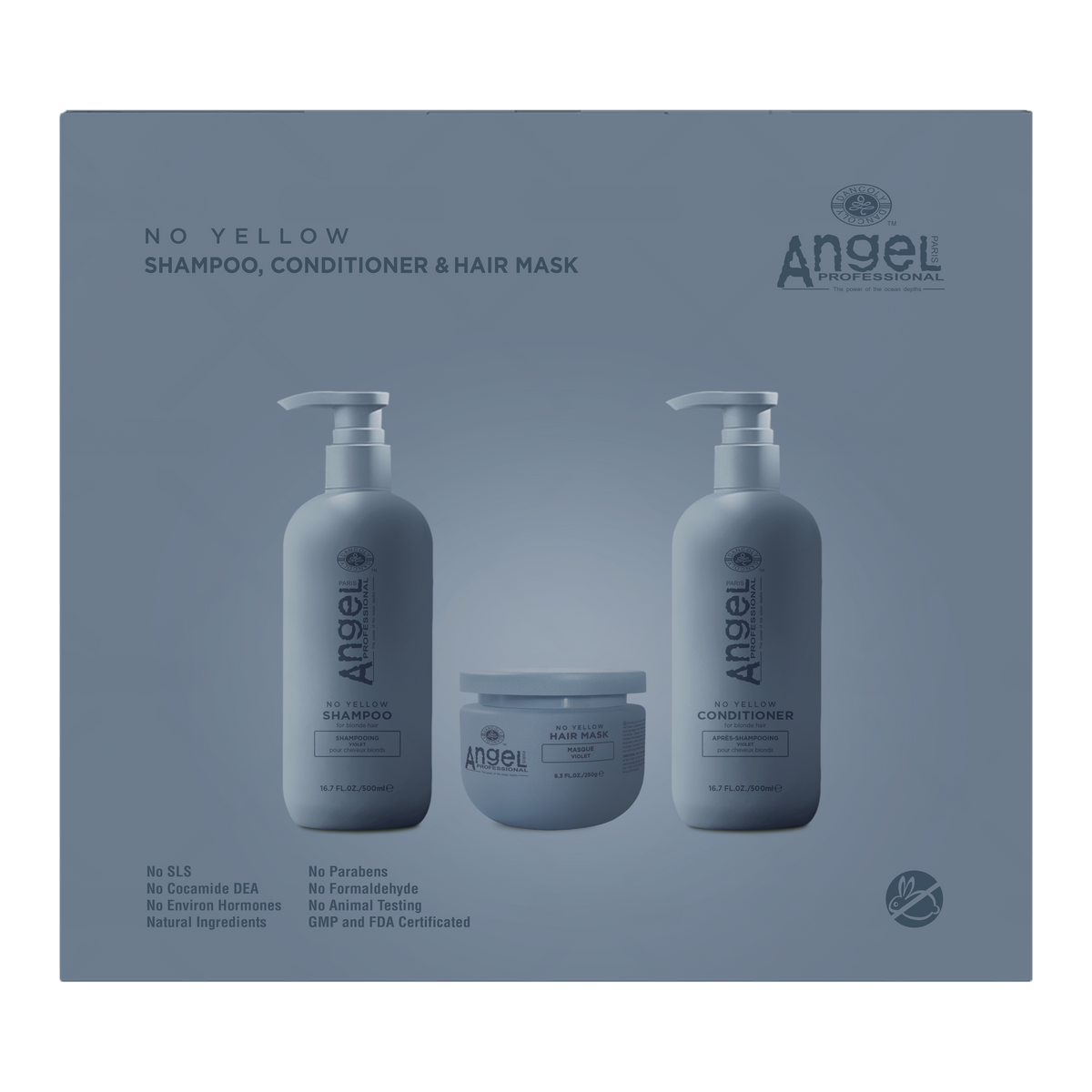 Angel Professional Deep Sea No Yellow Shampoo, Conditioner & Mask Holiday Gift Set 2026