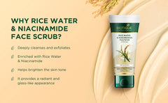 Biotique Rice Water & Niacinamide Gel Face Scrub for Glass Skin 100ml