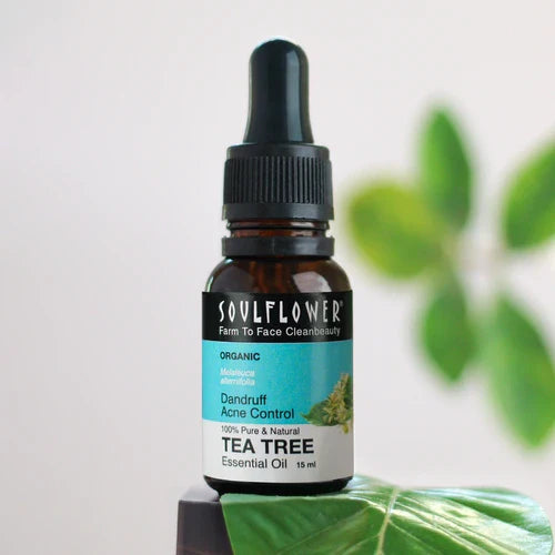 SoulFlower - Lemon, Eucalyptus, Tea Tree & Peppermint Oils Set 15ml