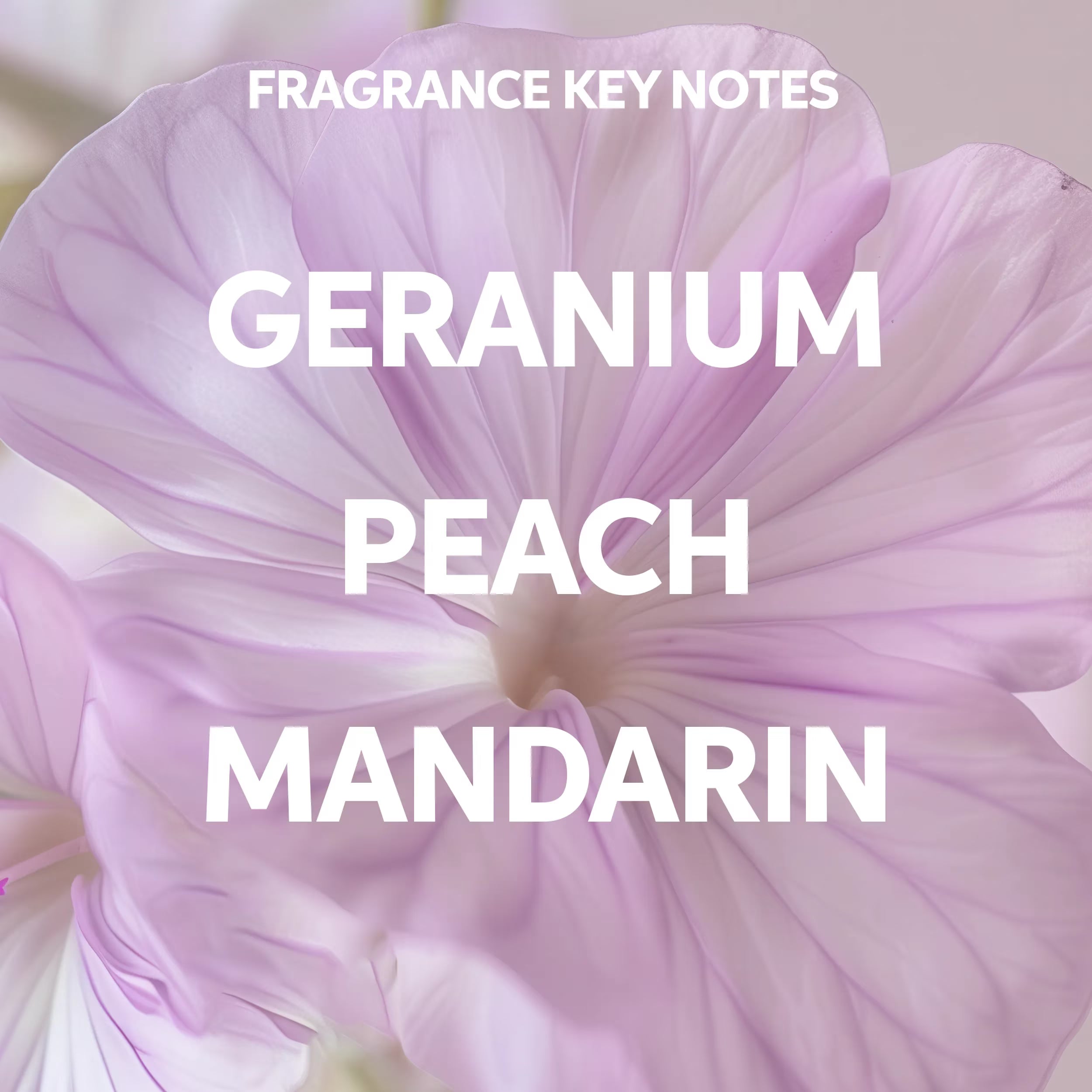 Fragrance notes with geranium, peach, and mandarin on a lavender flower