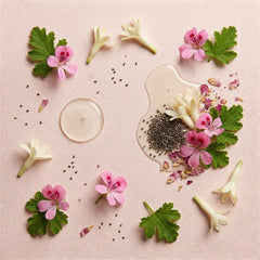 Brightening Day Cream 120ml