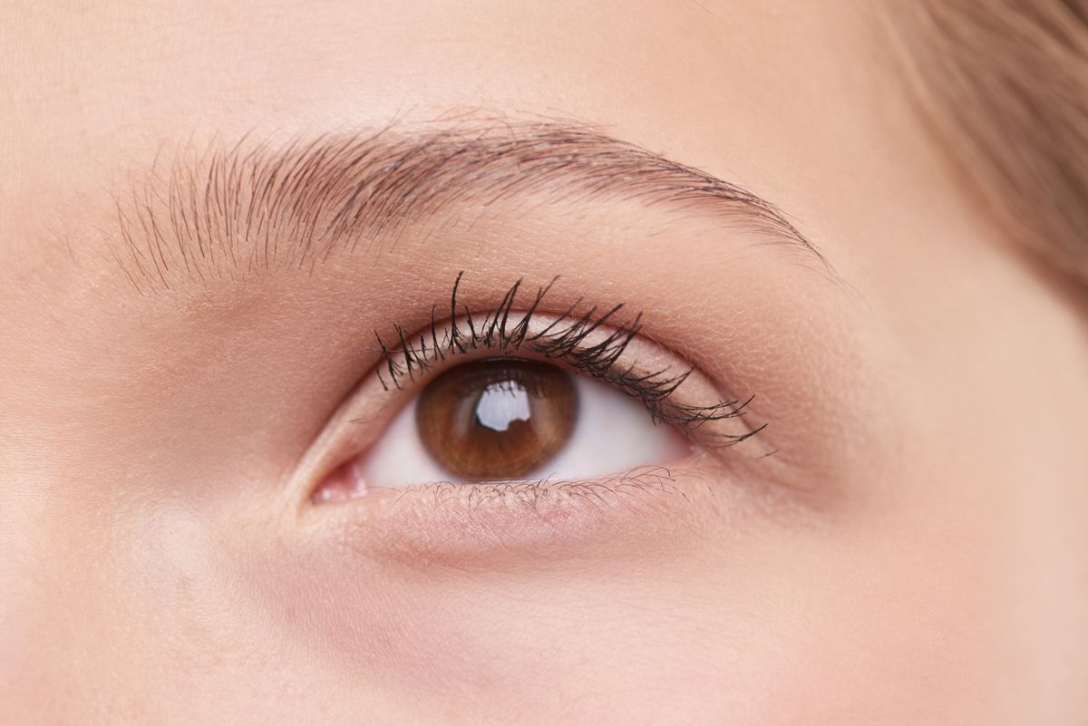 Tints, Henna & Lashes at Kess Sylvia Park